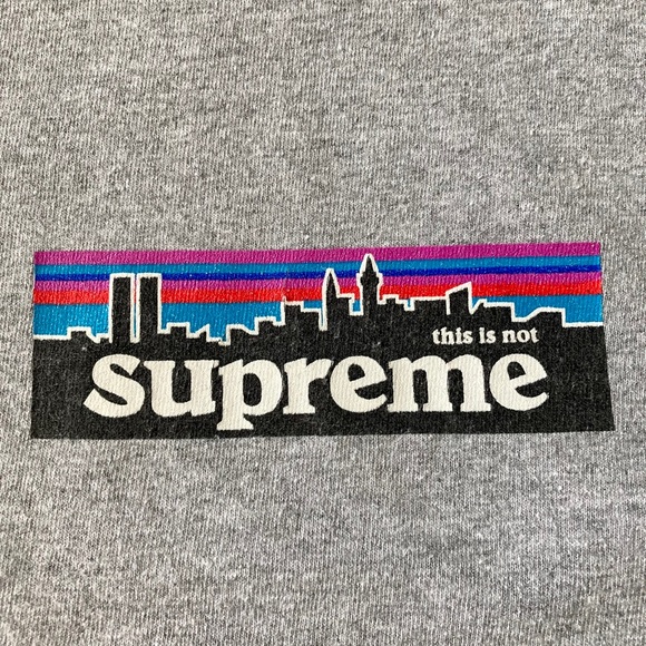 Aaron’s World This Is Not Supreme Patagonia Shirt - Picture 3 of 5